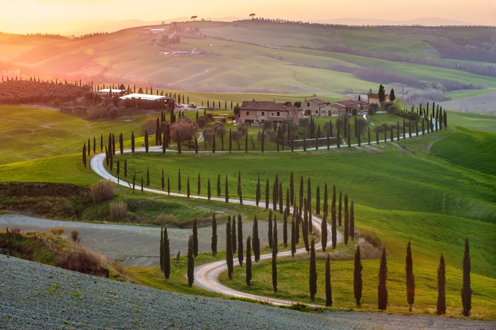 A classic scene from an road trip ni Italy - the winding Cyprus-lined road in Val D'Orcia.
