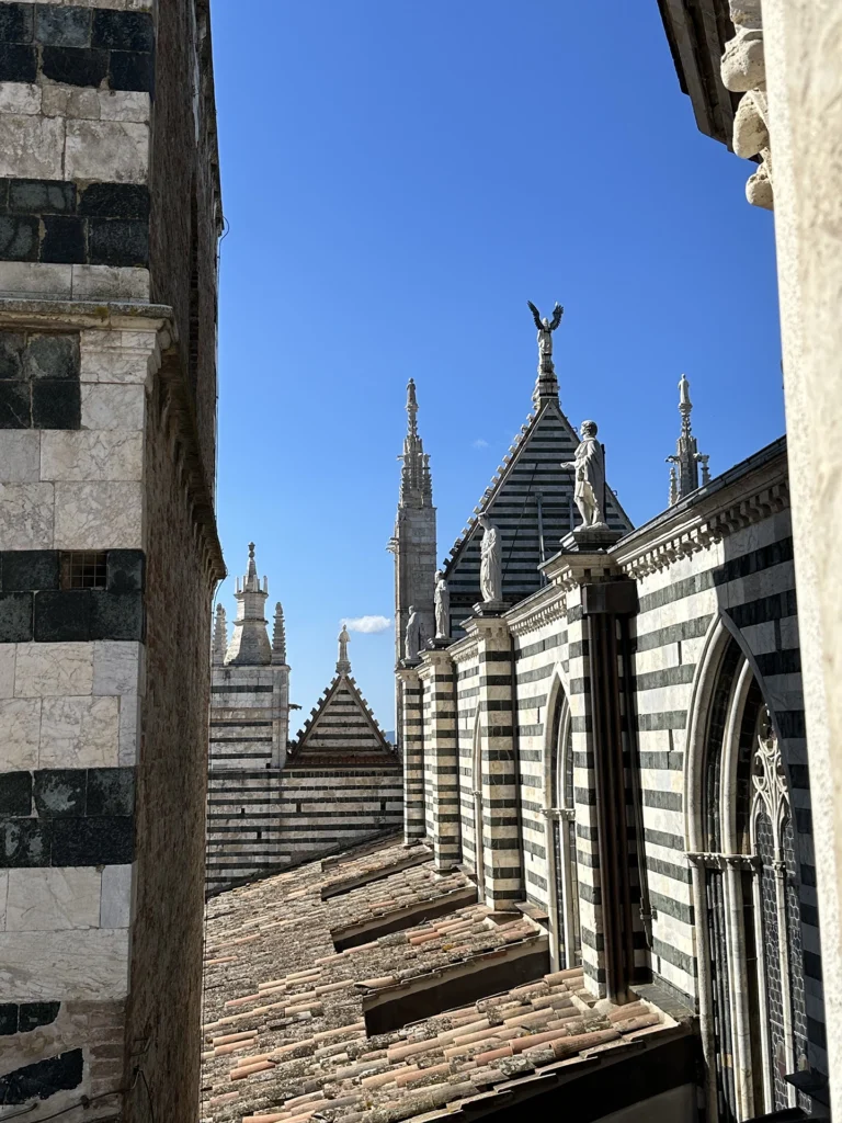 View from the roof of the Duomo.