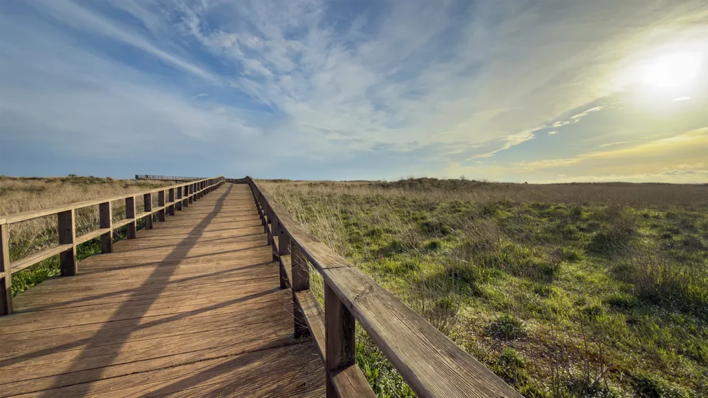 Passerelle en bois traversant les dunes côtières sous un faible soleil hivernal en Algarve.