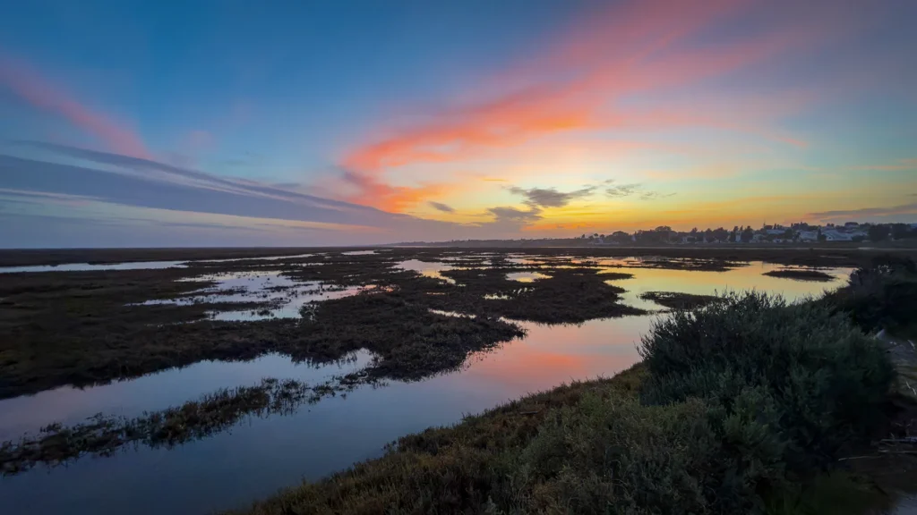 La lumière hivernale se reflète sur les chenaux de marée de la Ria Formosa, où l’est de l’Algarve révèle un paysage plus paisible, plus plat et façonné par les eaux changeantes de la lagune.
