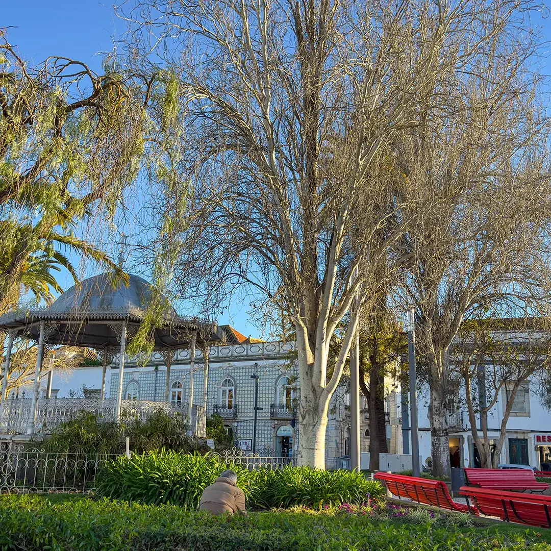 Parc public à Tavira avec bancs, arbres et soleil hivernal de l’Algarve.