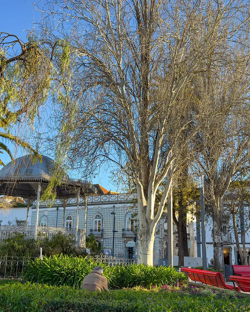 Public park in Tavira with benches, trees, and winter sunshine in the Algarve