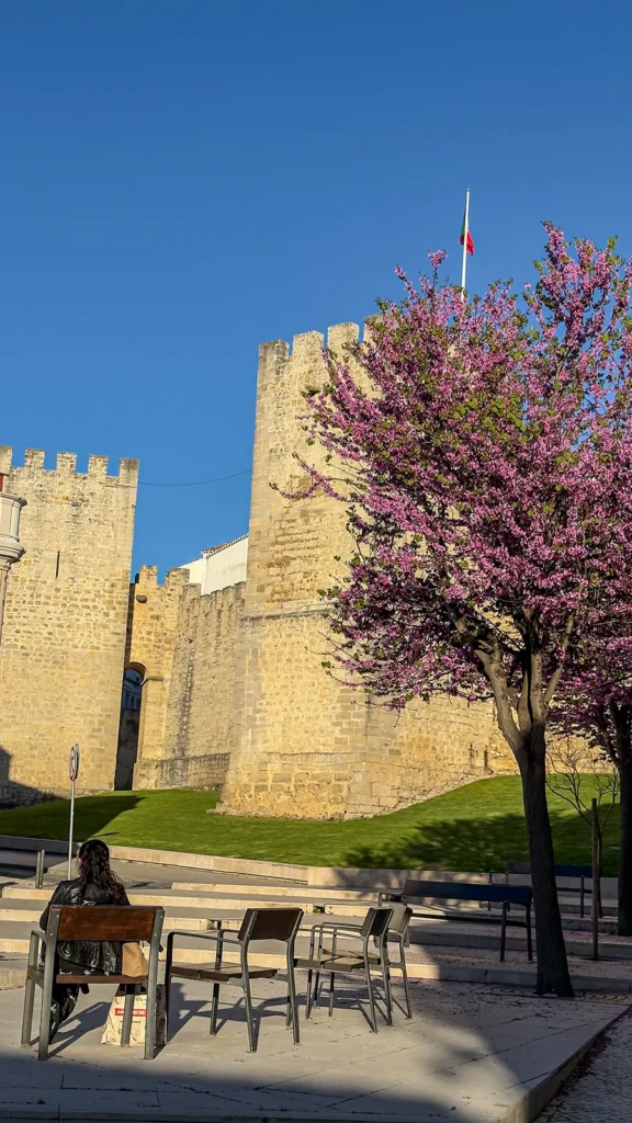 Loulé Castle framed by blooming pink trees on a sunny spring day.