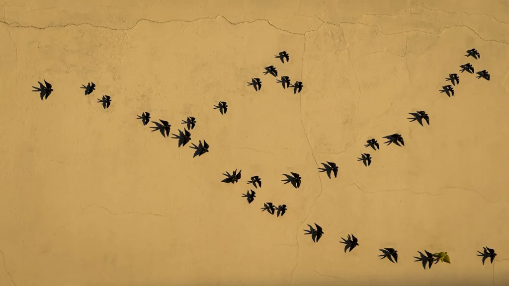 Black swallow sculptures arranged across a cracked ochre wall in Loulé Old Town, Portugal.