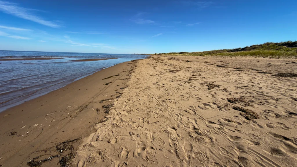 Wide sandy shore at Aboiteau Beach at low tide, with shallow water and sandbars on the left and grassy dunes on the right.