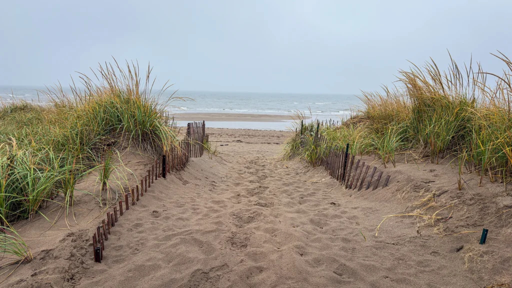 Sandy path between grassy dunes and low fences leading to a beach and sea beneath a misty grey sky.