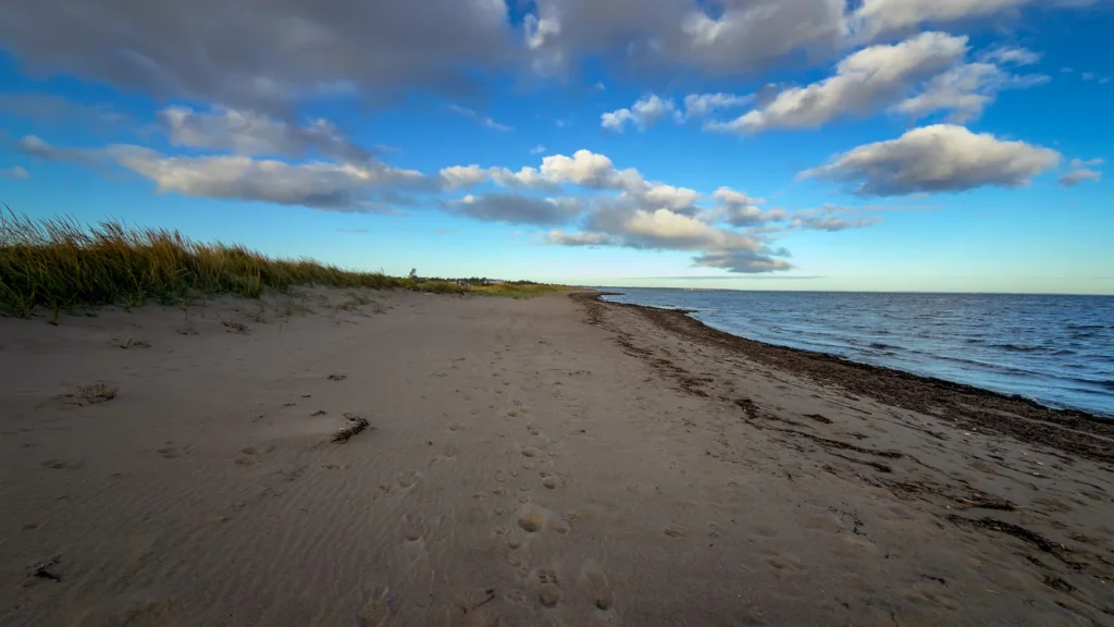 Footprints cross a wide sandy beach, with grassy dunes on the left and water on the right beneath a partly cloudy sky.