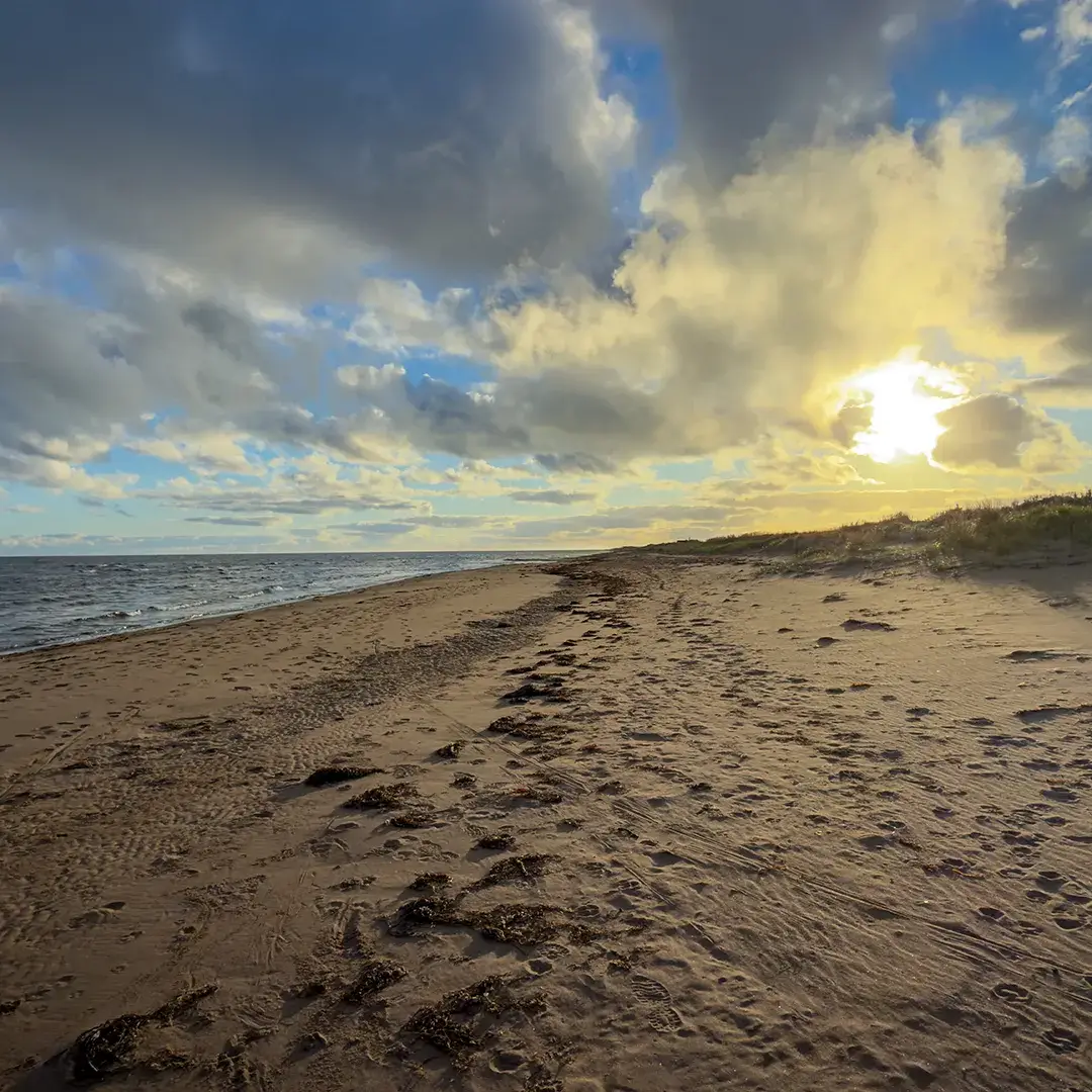 Soleil bas perçant les nuages au-dessus d’une plage de sable, avec l’eau d’un côté et des dunes herbeuses de l’autre.