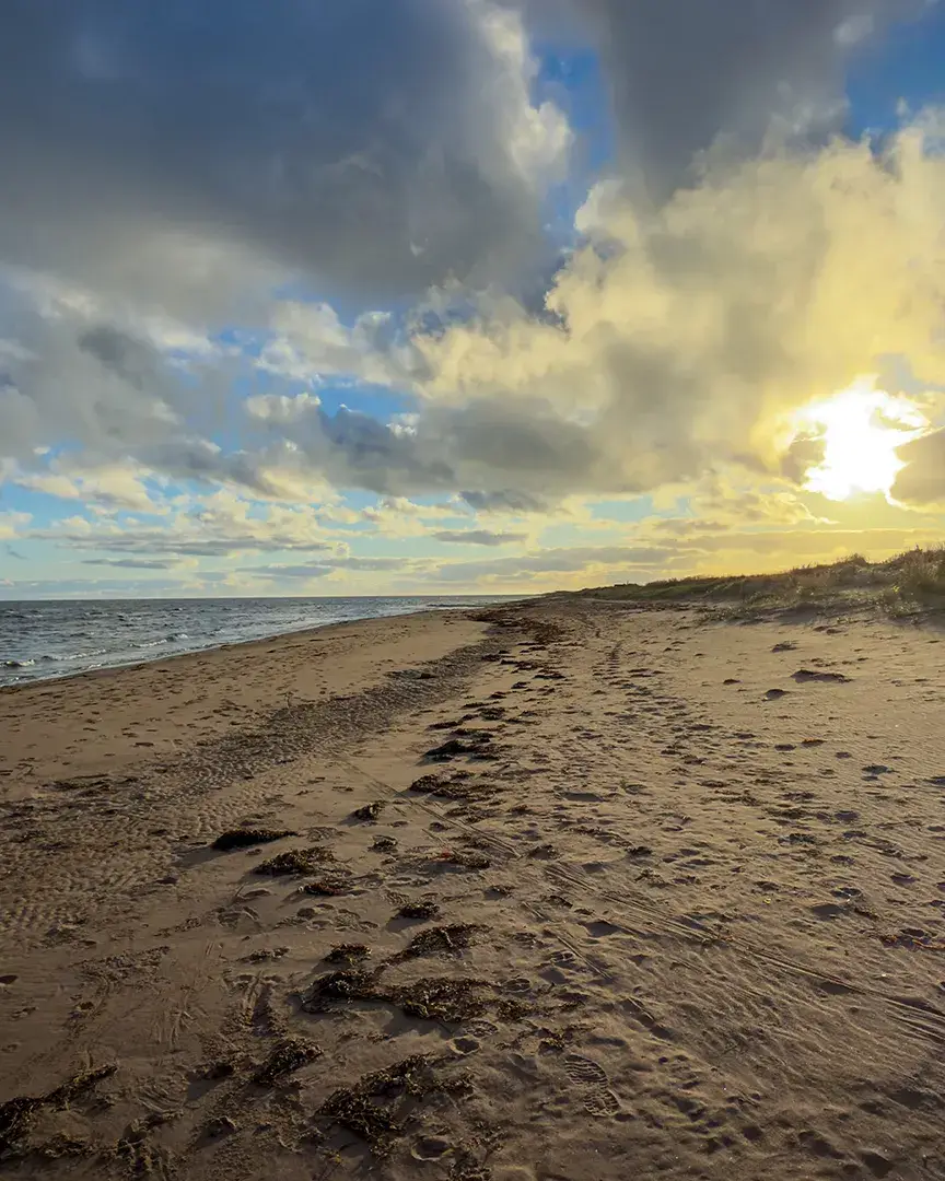 Low sun breaking through clouds over a sandy beach, with water on one side and grassy dunes on the other.