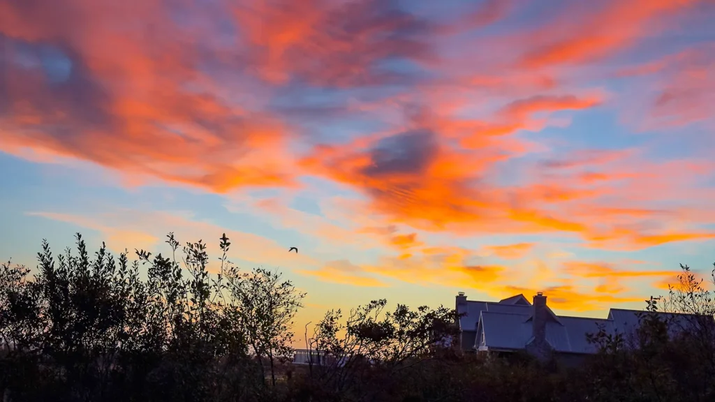 Pink, orange and violet sunrise clouds above silhouetted vegetation and rooftops, with a bird in flight.