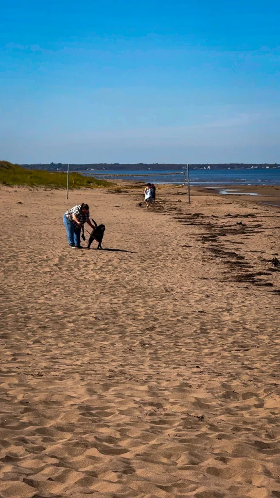 A woman bends toward a black dog on the sand at Aboiteau Beach, with two people near the water in the distance.